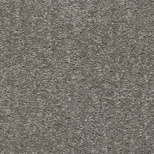APOLLO Brooklyn Carpets